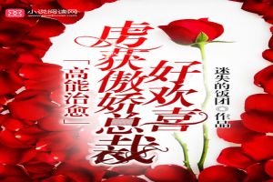 高能治愈:虏获傲娇总裁好欢喜