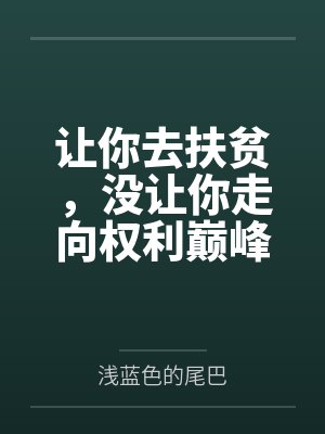 让你扶贫你打造神豪村小说