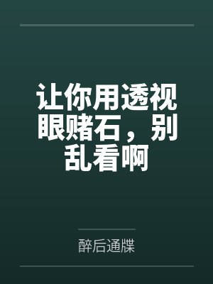 让你用透视眼赌石,别乱看啊